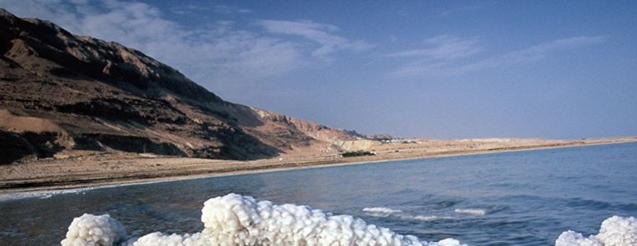 Ormus Minerals Dead Sea Salt resource